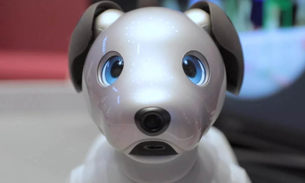 Sony-aibo